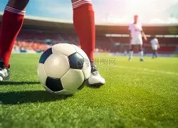 阿莫林强调,球队需轮换,球员保活力,新葡京,新葡京app,新葡京娱乐,新普京赌场