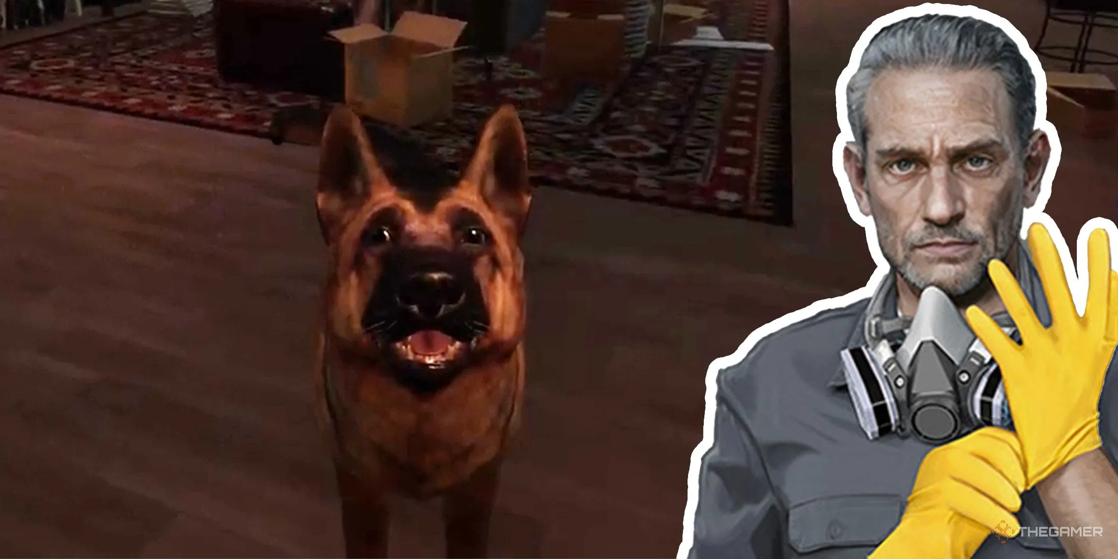 亚洲球员身,价新纪录,胡桑诺夫打,新葡京,新葡京app,新葡京娱乐,新普京赌场