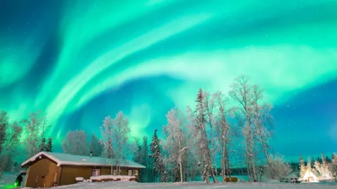 威爾斯狂砍50分6助攻11三分，王嵐嵚20分7板助遼寧以26分擊敗新疆報仇