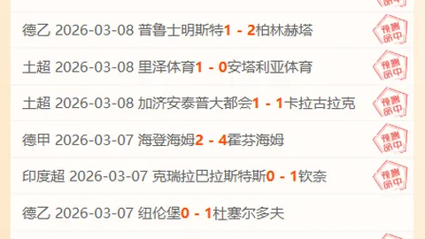 王毅与埃及外长阿卜杜勒阿提通话